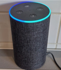 One pair of Amazon Echo 2nd